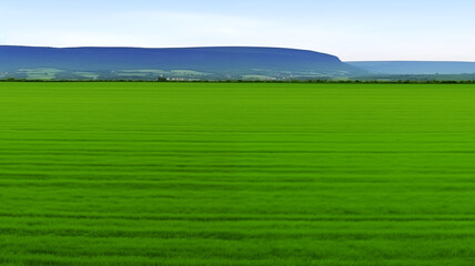Fototapeta premium Landscape view of reen grass field Infront of the mountain and sky on background