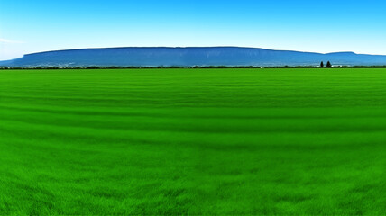 Fototapeta premium Landscape view of reen grass field Infront of the mountain and sky on background