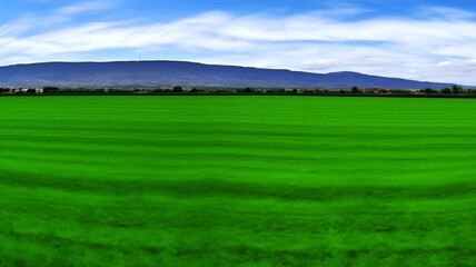 Fototapeta premium Landscape view of reen grass field Infront of the mountain and sky on background