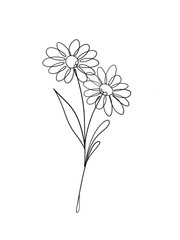 Daisy flowers is hand drawn in continuous line art drawing style. Printable art.
