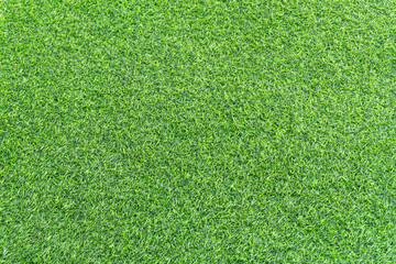 Fototapeta premium Beautiful of Green Grass Background