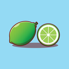 lime orange citrun fruit cartoon vector illustration