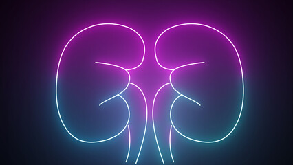 Glowing blue and purple neon line Human kidney icon isolated on a black background. Neon human kidneys icon in line style. Urinary system part symbol