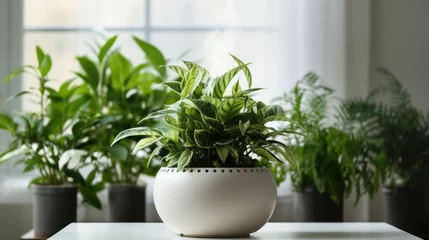 Deurstickers Oxygen production, air purification, stress reduction, a silent companion for every room. National Houseplant appreciation day concept. © Manyapha