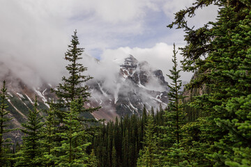 Snow-covered peaks of the Rocky Mountains,  clouds after rain and coniferous forest. Natural...