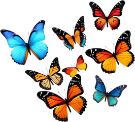 Obraz premium Colorful butterfly clipart for decoration. 