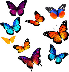 Colorful butterfly clipart for decoration. 