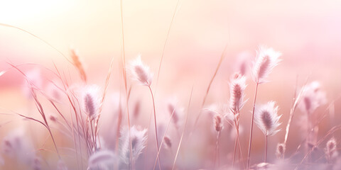  pink grass field look like pampas grass in romantic atmosphere,  August summer haze in herbs and wheat field in bokeh style, pastel colors AI Generative