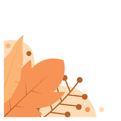 Aesthetic Plant Corner