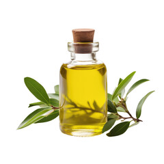 Pure Tea Tree Oil in Glass Bottle