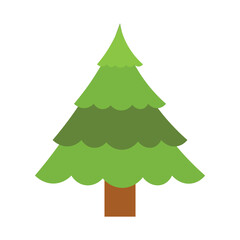 Plain Pine Tree