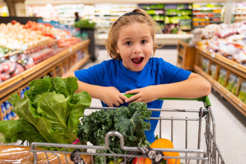 Kid with shopping cart at grocery store. Kid at vegetable supermarket. Child choosing food in store or grocery store.