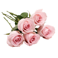 Fototapeta premium Bouquet of Blushing Pink Roses