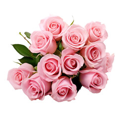 Bouquet of Blushing Pink Roses