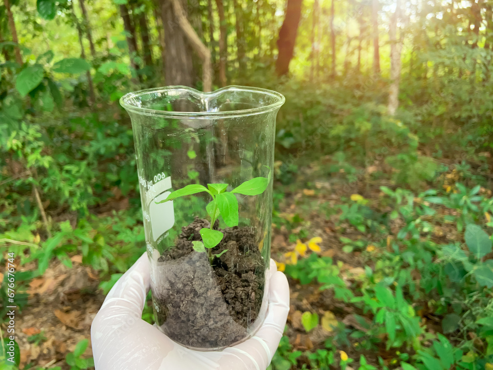 Sticker Trees in a science glass, Experimentation and conservation for the environment