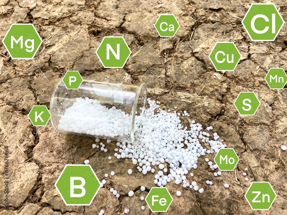 Poster Chemical fertilizers and nutrients that plants need