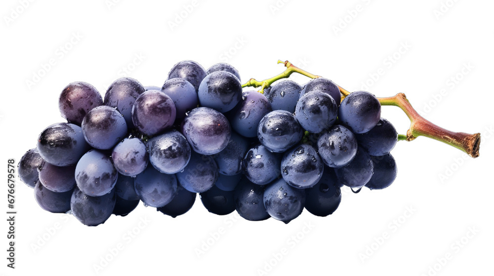 Wall mural bunch of blue grapes dry isolated on transparent background, generative ai