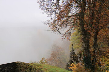 Fototapeta na wymiar Trees on a cliff in the fog