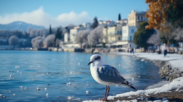 Istanbul Bosphorus Kandilli Kucuksu Coast Winter, Desktop Wallpaper Backgrounds, Background HD For Designer