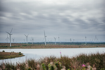 Whitelee Wind Farm: Wind Turbines Generating Renewable Energy in Scotland