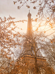 The Eiffel Tower, Paris, France
