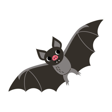 Vector illustration of cute cartoon vampire bat isolated on white background.