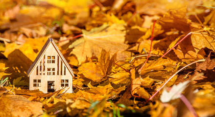 The symbol of the house stands among the fallen autumn leaves
