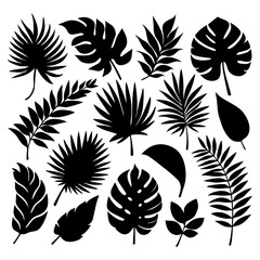 Set of tropical leaves in silhouettes. Different leaf collection. Jungle forest flora. Palm, monstera, banana tree isolated on white background. Vector illustration.