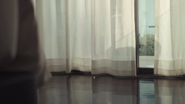 B roll - Transparent curtain moved by the wind on the door with sunlight.