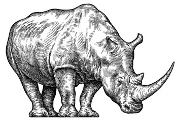 Vintage engraving isolated rhinoceros set illustration ink sketch. Africa background rhino silhouette art. Black and white hand drawn image - obrazy, fototapety, plakaty
