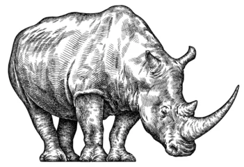 Foto op Plexiglas Vintage engraving isolated rhinoceros set illustration ink sketch. Africa background rhino silhouette art. Black and white hand drawn image © Turaev