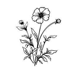 line drawing, line art png, line art prints, spring clipart, line art rose, rose clipart, floral svg, flower png, wildflower svg, flower clipart, bouquet svg, tattoo svg, line art, svg files, svg file