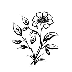 line drawing, line art png, line art prints, spring clipart, line art rose, rose clipart, floral svg, flower png, wildflower svg, flower clipart, bouquet svg, tattoo svg, line art, svg files, svg file