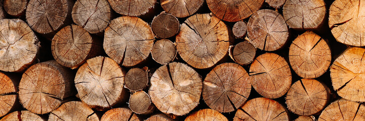Woodpile pattern or texture. Round cuts of wood in natural light. Concept for background, wallpaper, or design element with copy space for your text or logo. Banner with copy space.