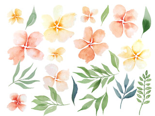 Watercolor pastel color flowers. Gentle design peach flowers hand drawn elements for invitation, postcards.