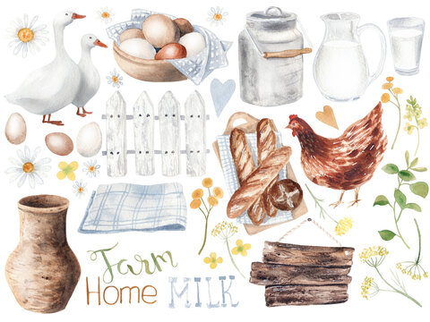 Watercolor set of farm hand drawn elements isolated