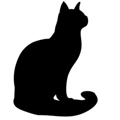 Isolated cat on the white background. Cat silhouettes. 