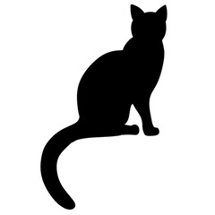 Isolated cat on the white background. Cat silhouettes. 