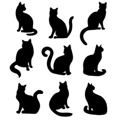 Isolated cat on the white background. Cat silhouettes. 
