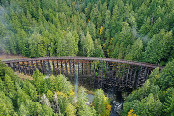 Kinsol Trestle, a magnificent wooden bridge. It was built in 1920 to allow the passage of trains...