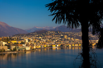 Fototapeta na wymiar Cityscape over Lugano with Palm Tree and Mountain and Lake Lugano in a Sunny Day in Ticino, Switzerland.