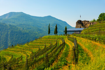 Fototapeta na wymiar Castle and Vineyard with Mountain View in a Sunny Summer Day in Morcote, Ticino, Switzerland.