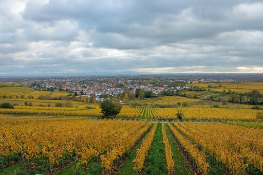 Deidesheim an der Weinstra&szlig;e
