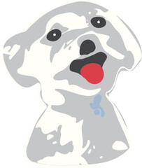 Maltese Dog Vector