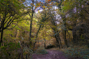 Route through the Source of Urederra. Navarre. Spain