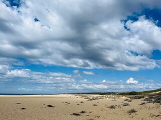 dunes at the ocean, cloudy sky, windy weather
