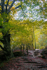 Route through the Source of Urederra. Navarre. Spain