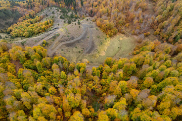 Drone aerial of Autumn forest road. View of autumn forest road with fallen leaves Fall season scenery. Epirus Greece