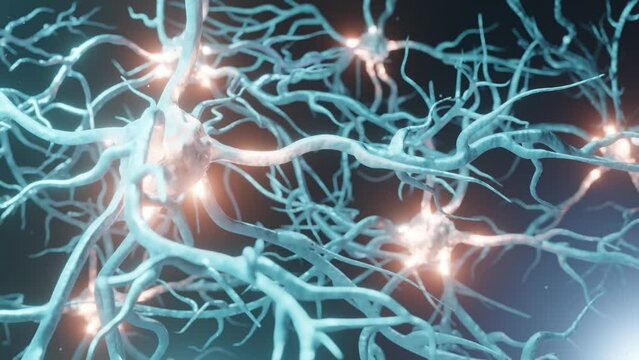 Neuronal and Synapse Activity 3d animation. Neurons in the head, neuroactivity, synapses, neurotransmitters, brain, axons. Electrical impulses inside the human brain.