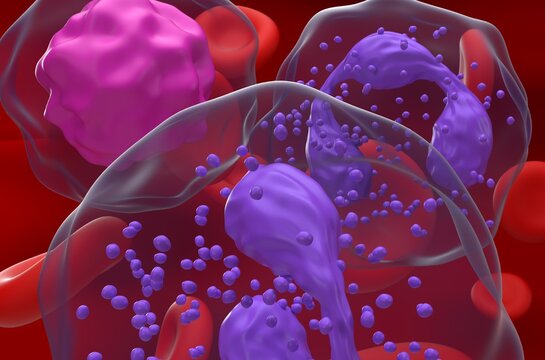 High Neutrophil-Lymphocyte Ratio (NLR) in inflammation - closeup view 3d illustration